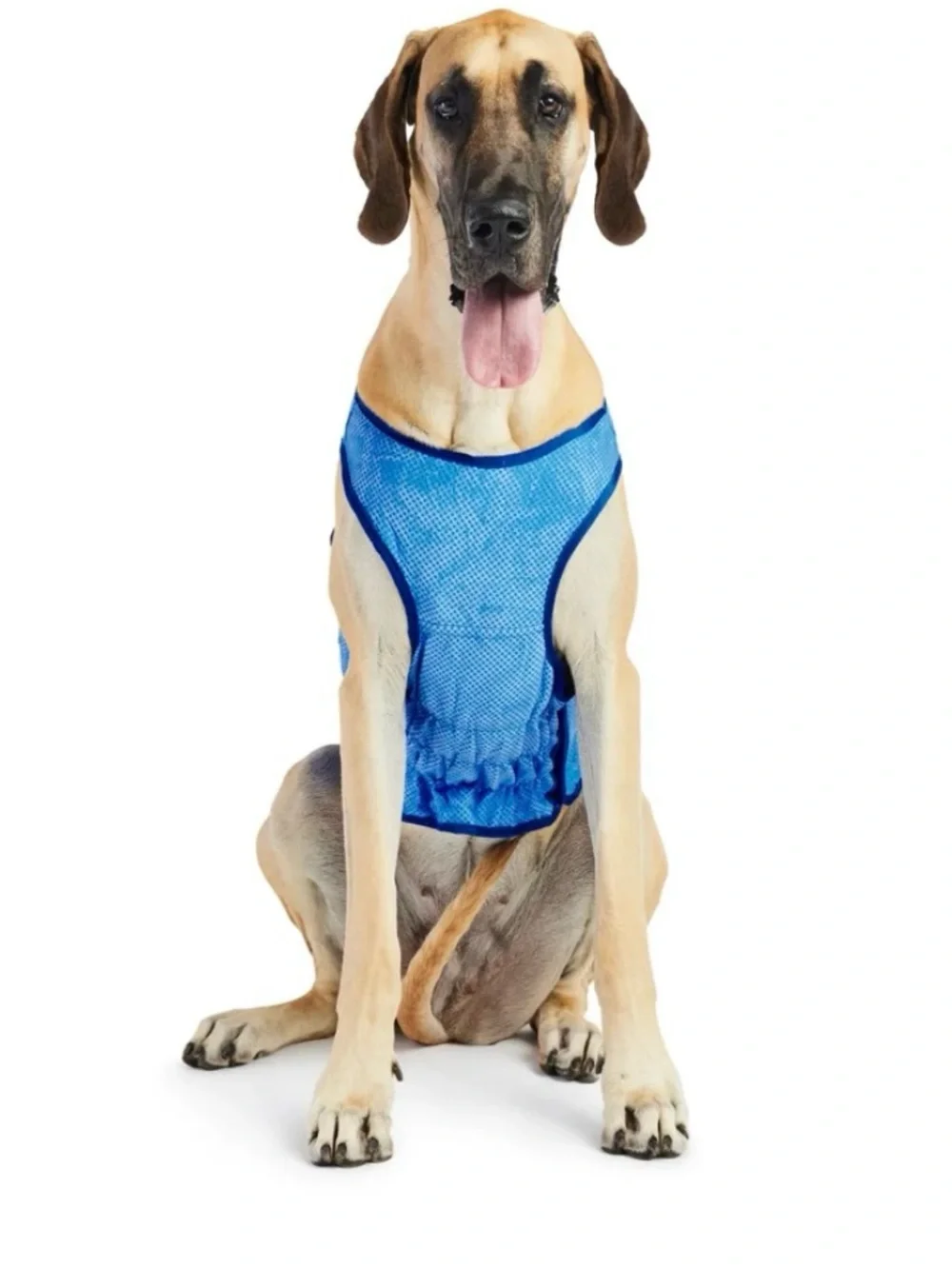 GF Pet Ice Vest Cooling Dog Harness - Blue